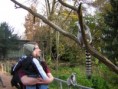 /album/a10-mesic/na-navsteve-u-lemuru-jpg/